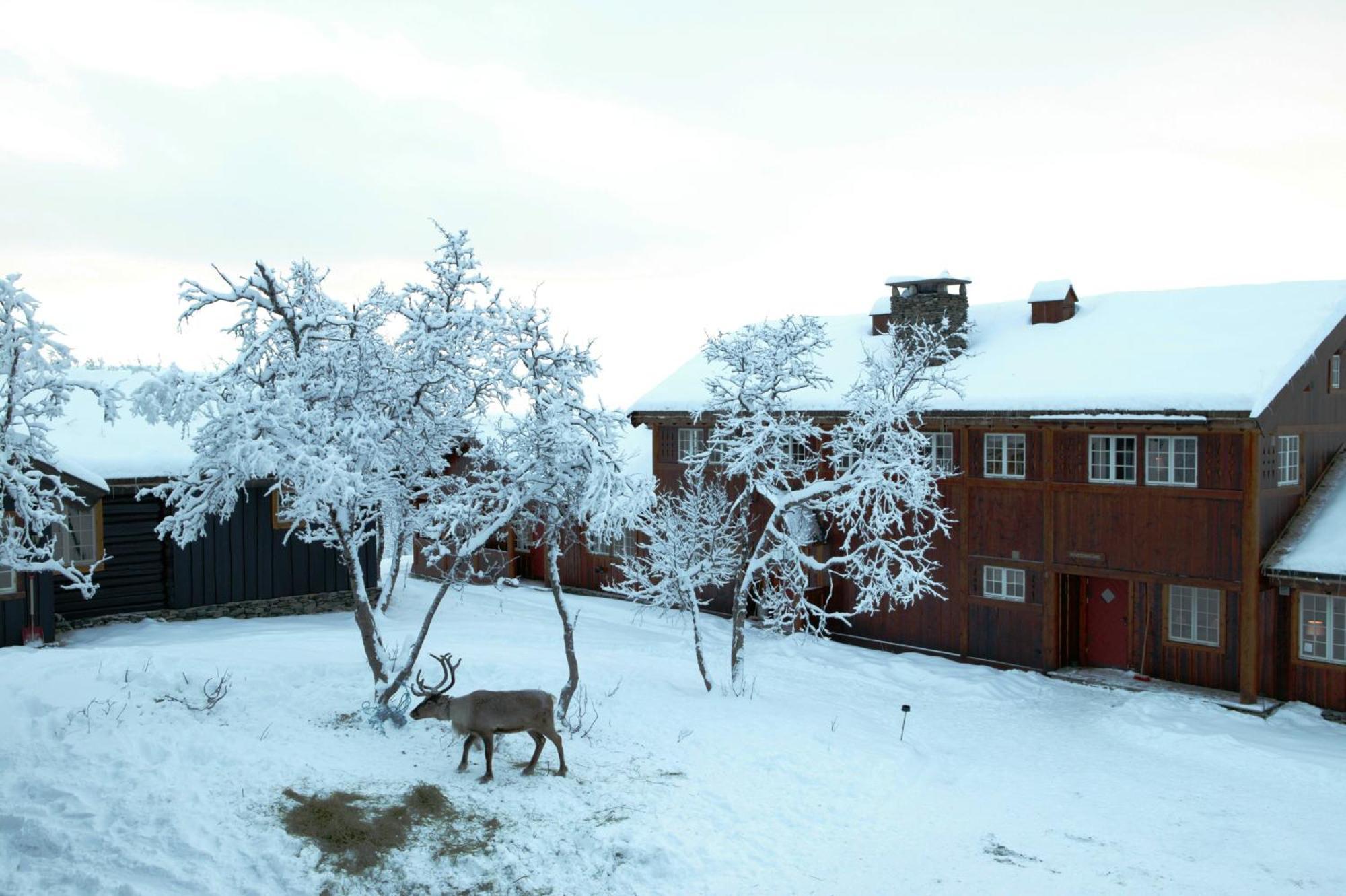 Grøndalen Harahorn Fjellgard酒店 外观 照片